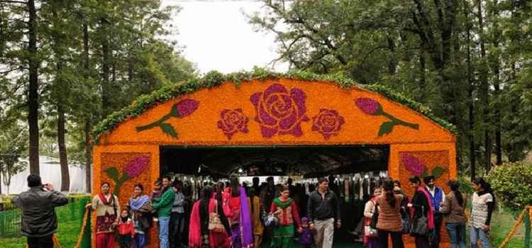 Rose Festival 2024 Starts from February 23 in Chandigarh